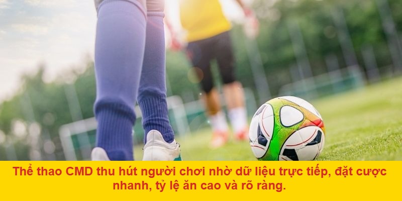 Khuyến mãi hấp dẫn dành cho thành viên CMD thể thao