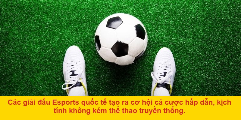 CMD thể thao là gì và vì sao thu hút người chơi