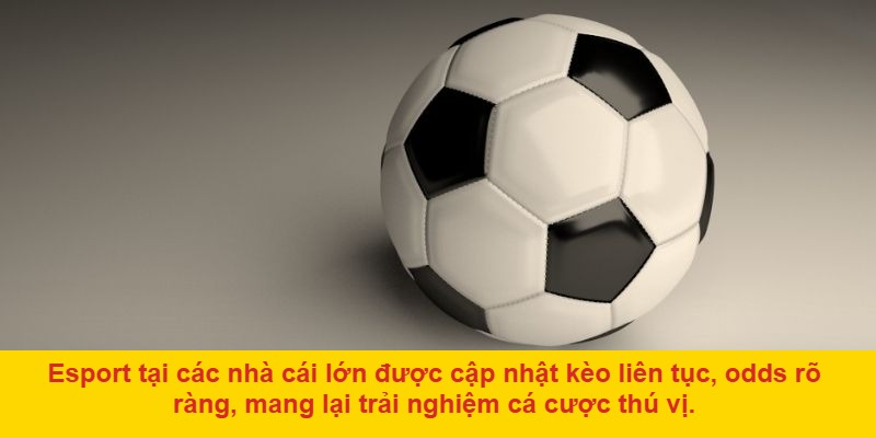 Những tựa game tiềm năng trong cá cược Esport thể thao