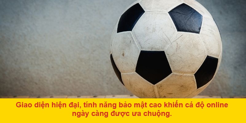 Những yếu tố giúp cá độ trực tuyến phát triển mạnh mẽ