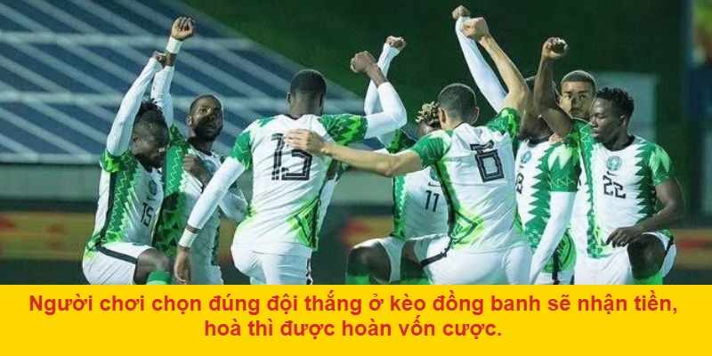 Đồng Banh Là Gì