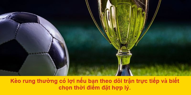 Những lưu ý quan trọng khi chơi kèo rung tại nhà cái uy tín