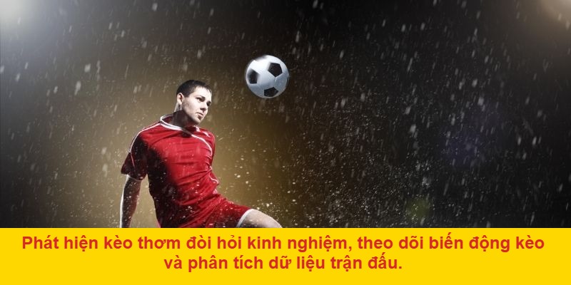Cách săn kèo thơm bóng đá chuẩn xác từ chuyên gia