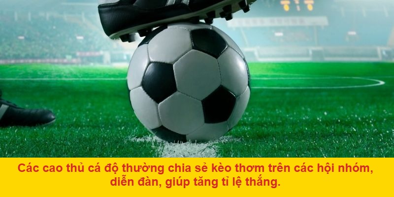 Những lưu ý quan trọng khi chọn nhà cái săn kèo thơm