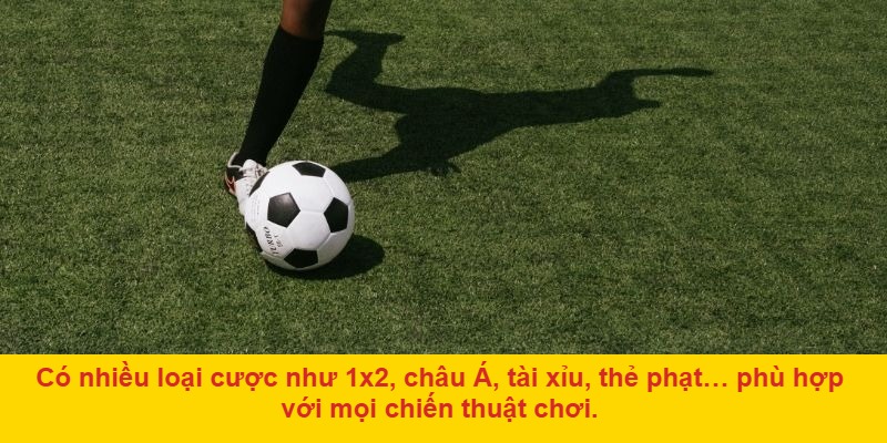 Cá độ bóng đá là gì và những điểm thu hút người chơi