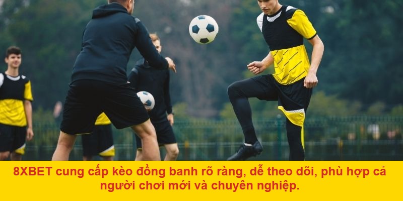 Khi tỷ lệ odds có dấu hiệu nghiêng nhẹ