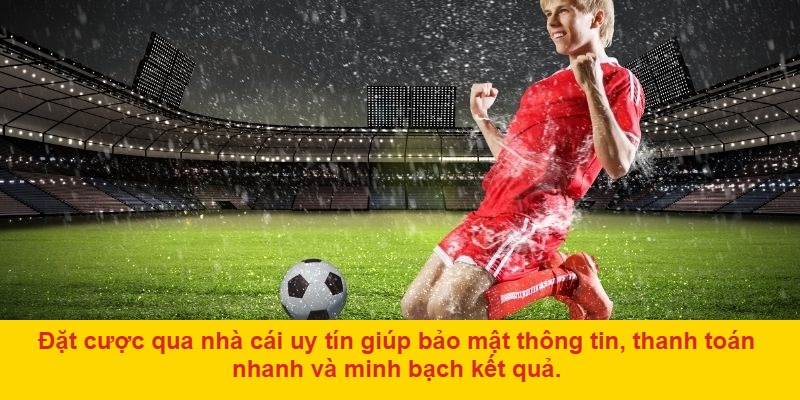Bí quyết cá độ bóng đá hiệu quả cho người mới