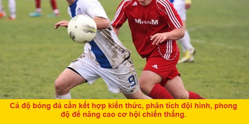 Cảnh giác với những chiêu trò lừa đảo trong cá độ bóng đá