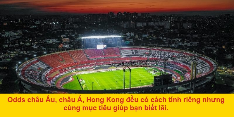 Odds là gì? Vai trò của odds trong cá cược bóng đá
