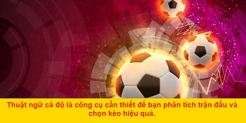 Thuật ngữ kết quả và phương thức cược trong cá độ bóng đá