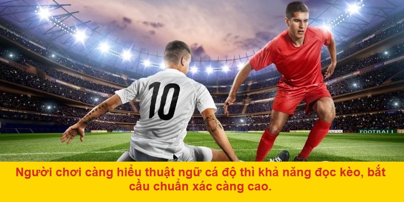 Lợi ích khi hiểu đúng thuật ngữ cá độ