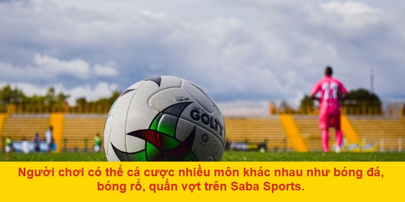 Các loại kèo phổ biến tại Saba Thể Thao