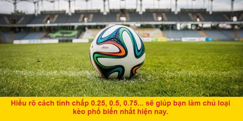Kinh nghiệm cá cược kèo châu Á dễ thắng từ các cao thủ